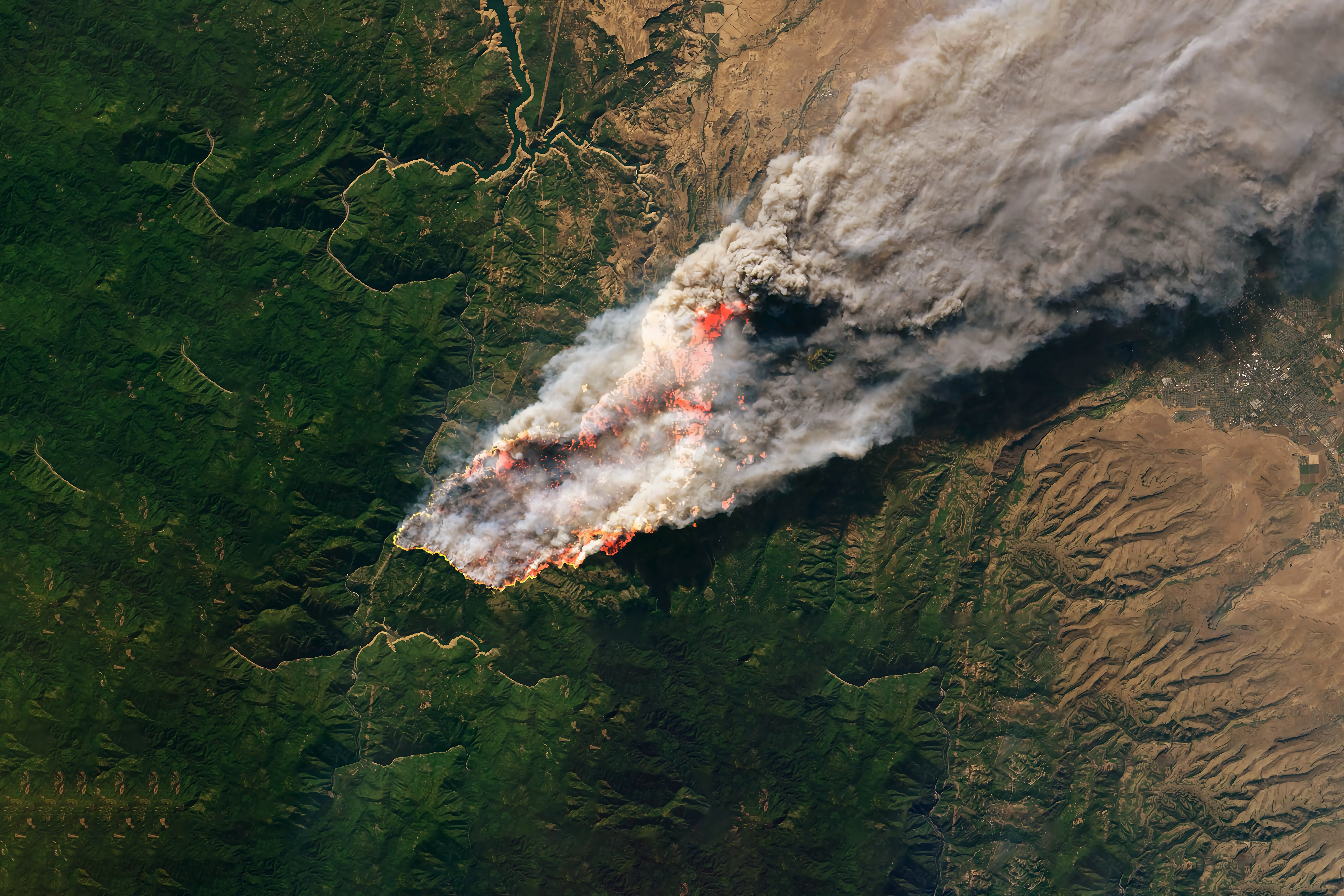 Wildfire